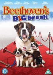 Beethoven's Big Break