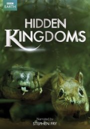 Hidden Kingdoms