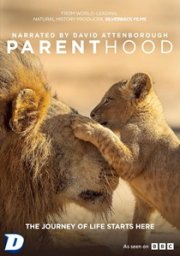 Parenthood