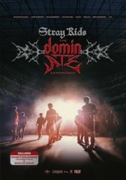 Stray Kids: The dominATE Experience