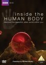 Inside The Human Body