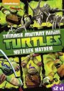 Teenage Mutant Ninja Turtles: Season 2 - Volume 1