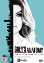 Grey's Anatomy: Season 13