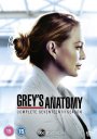Grey's Anatomy: Season 17