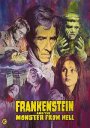 Frankenstein and the Monster From Hell: Limited Edition