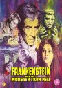 Frankenstein and the Monster from Hell