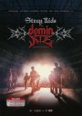 Stray Kids: The dominATE Experience