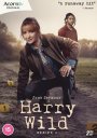 Harry Wild: Series 4