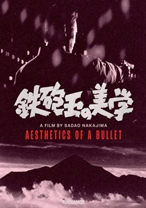 Aesthetics of a Bullet